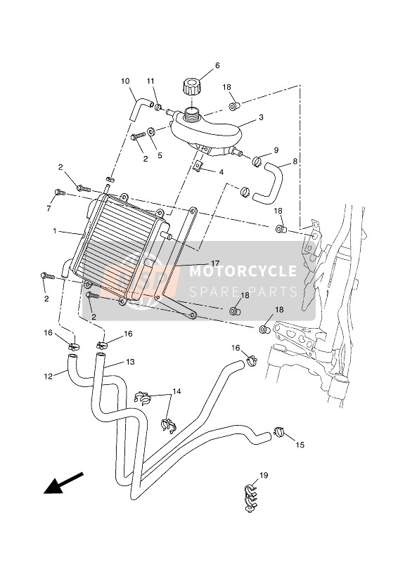 Radiator & Hose